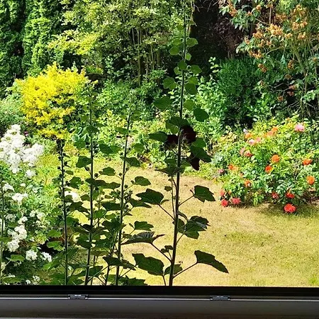 Lentz Am Bahnhof - Kr Kassel Apartment